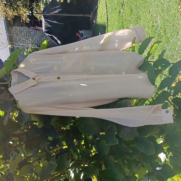 Covet semi-sheer blouse - Picture 7 of 7